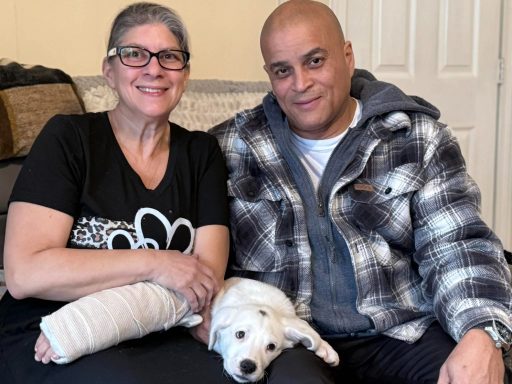 Spot's new name is Casper and has found his forever home with the Cotto Family. We know many years of love and companionship are ahead. Spot / Casper